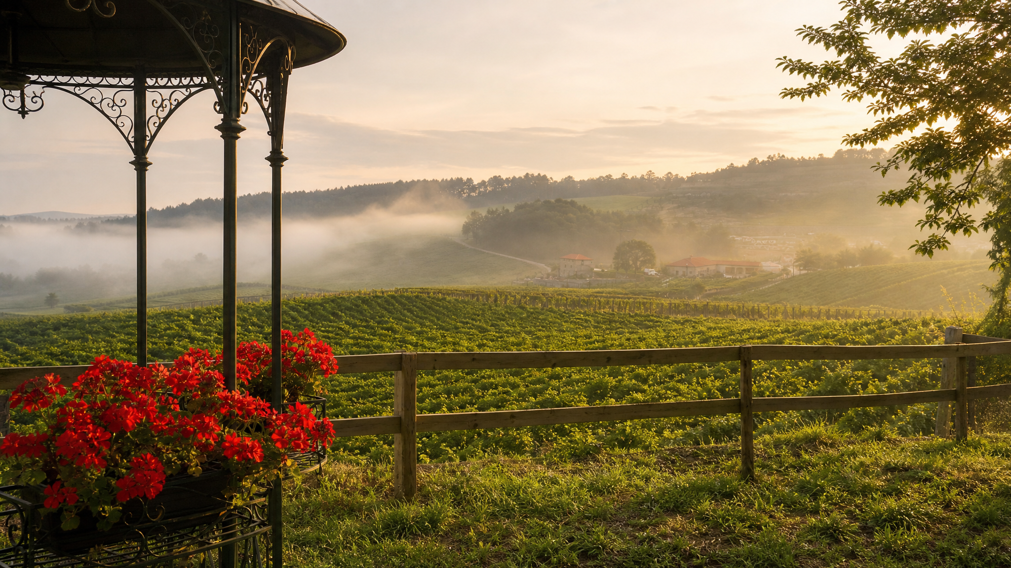 Morning mist over a vineyard — view from an iron gazebo with red flowers, evoking stillness and possibility